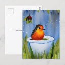 Search for robin postcards Nature