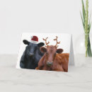 Search for cattle christmas cards Steer