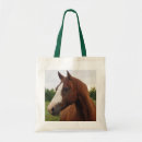 Search for blazing Horse