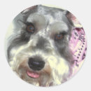 Search for miniature schnauzer stickers Pet