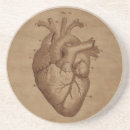 Search for anatomical barware Heart