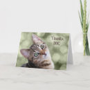 Search for clinic cards Veterinarian