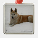 Search for wolves christmas tree decorations Santa