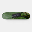 Search for beetles skateboards Bug