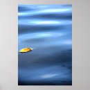 Search for floating leaf Nature