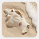 Search for caribbean islands stickers Beach
