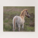 Search for new forest puzzles Horse