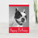 Search for french bulldog puppy cards Puppies