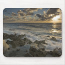 Search for cayman mousepads Coastline