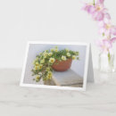 Search for moss cards Flowers