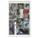 Search for backyard bird Nature
