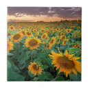 Search for cropped tiles Landscape
