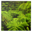 Search for lush tiles Foliage