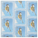 Search for feeder Chickadee