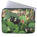 Search for butterfly pictures electronics Botanical