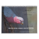 Search for bats photography Animals