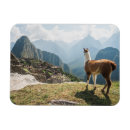 Search for machu magnets Landscape