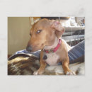 Search for comical postcards Friend
