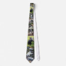 Search for porcupine ties Nature