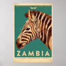 Search for vintage zebra posters Safari