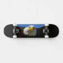 Search for bald skateboards Eagle