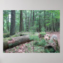 Search for walden posters Nature