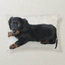 Search for mini cushions Puppy