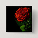 Search for red rose square badges Nature