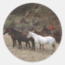 Search for western ranch stickers Horses