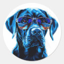 Search for reflective stickers Dog