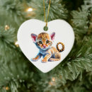 Search for ocicat Pet