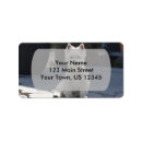 Search for westies return address labels White