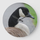 Search for goose clocks Geese