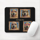 Search for pet gifts Photos