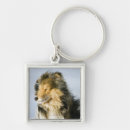 Search for shetland sheepdog key rings Domestic animals
