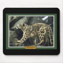 Search for snow leopard mousepads Wildlife