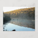 Search for summer postage Nature