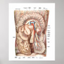 Search for physicians art Healthcare
