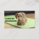 Search for dachshund dog business cards Doxie