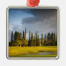 Search for kauai christmas tree decorations Green