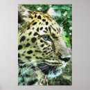 Search for leopard posters Watercolor