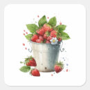 Search for fresh strawberries stickers Sweet
