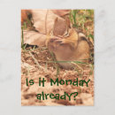 Search for work animal postcards Cute