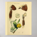 Search for of arm art Vintage