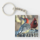 Search for bellied key rings Nature