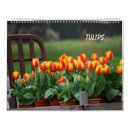 Search for holland calendars Photography