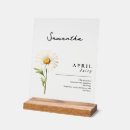 Search for april Daisy