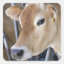 Search for jersey stickers Outdoors