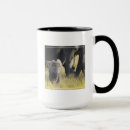 Search for three animals mugs Elephant