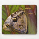 Search for viewed large mousepads Outdoors